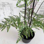 Faux Fern Tree - 48"