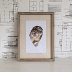 Oyster Framed Art