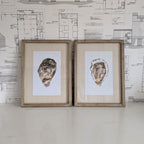 Oyster Framed Art