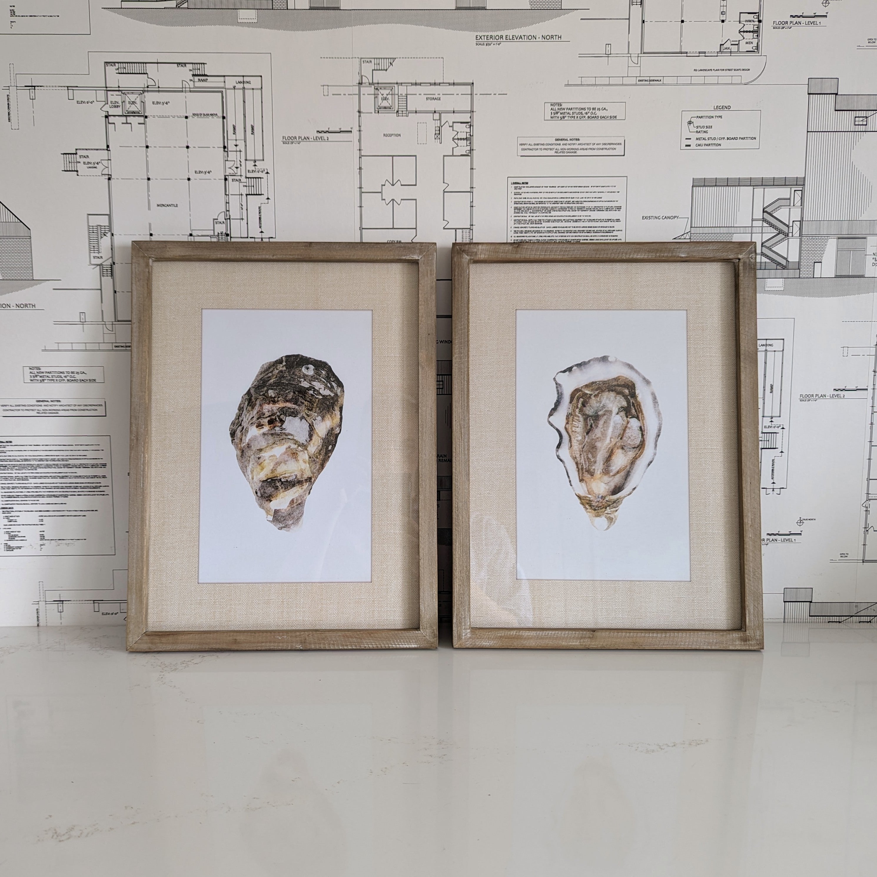 Oyster Framed Art