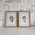 Oyster Framed Art