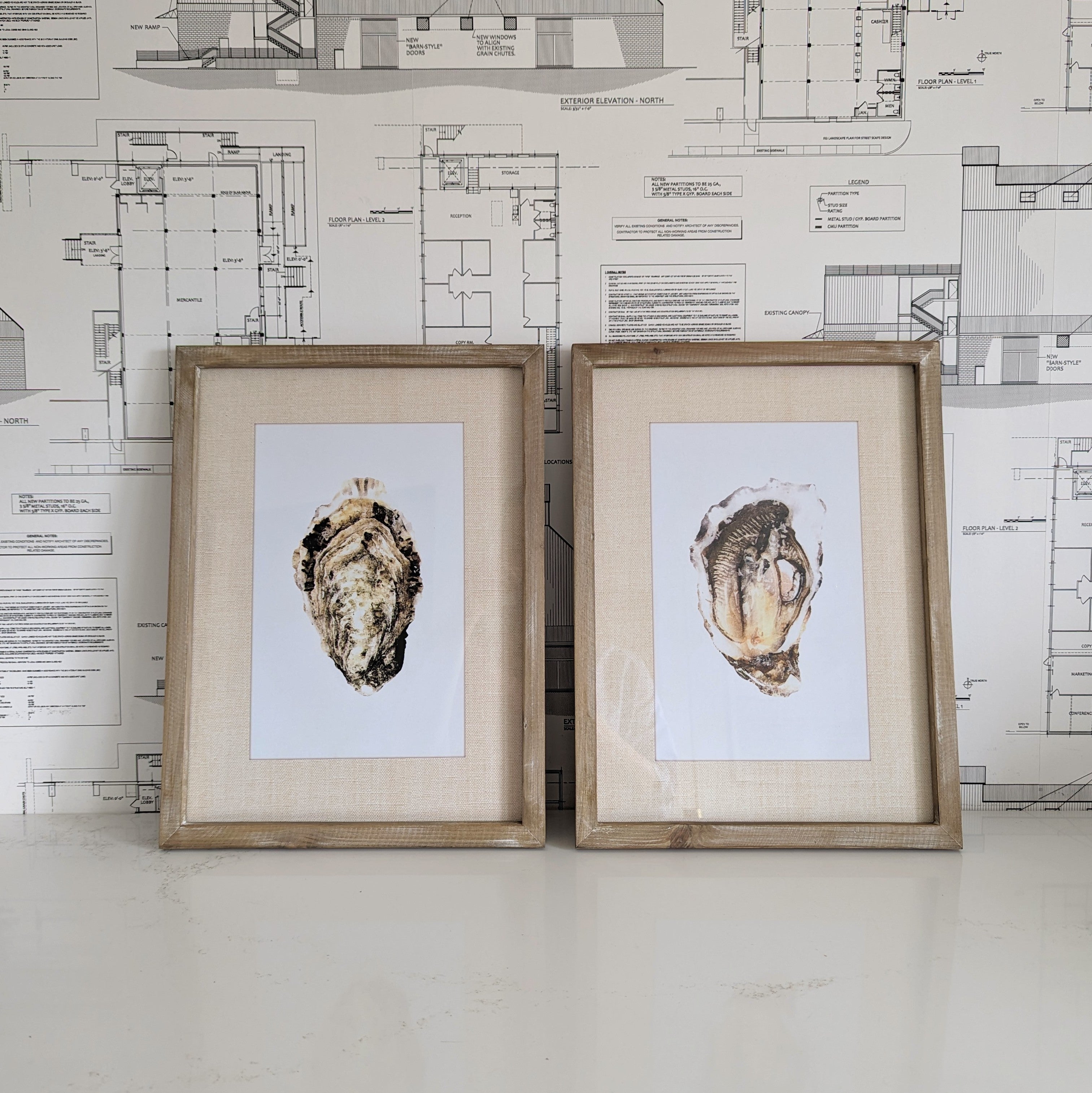 Oyster Framed Art