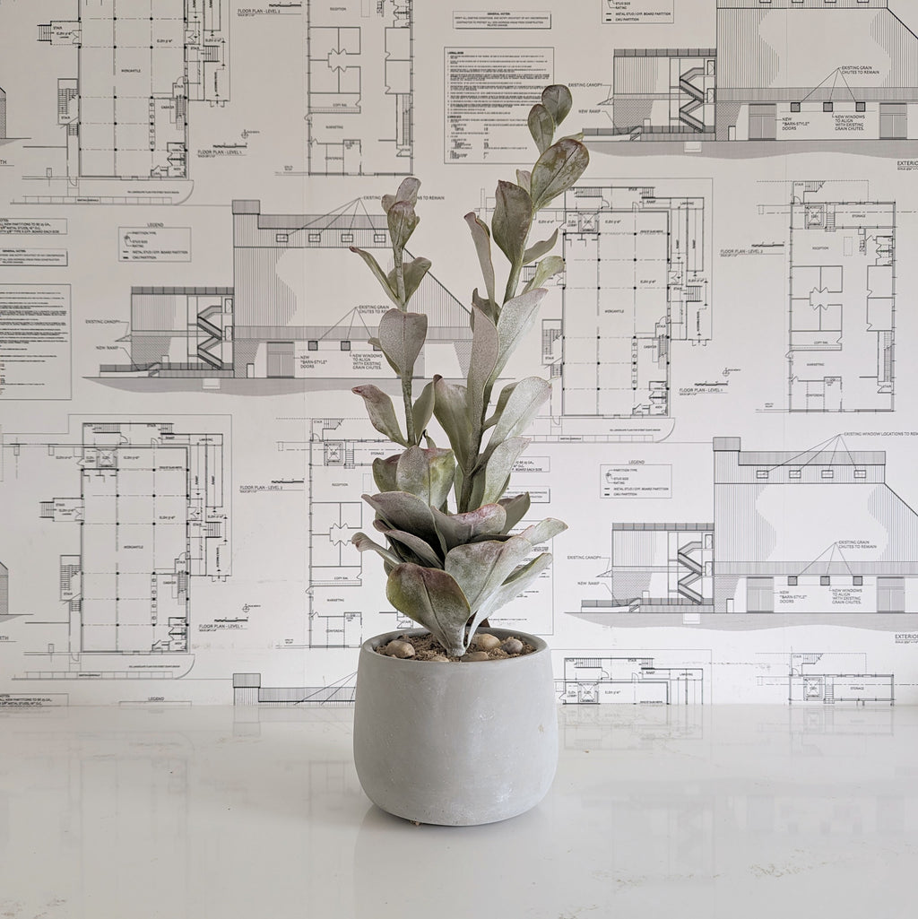 Faux White Succulent