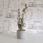 Faux White Succulent