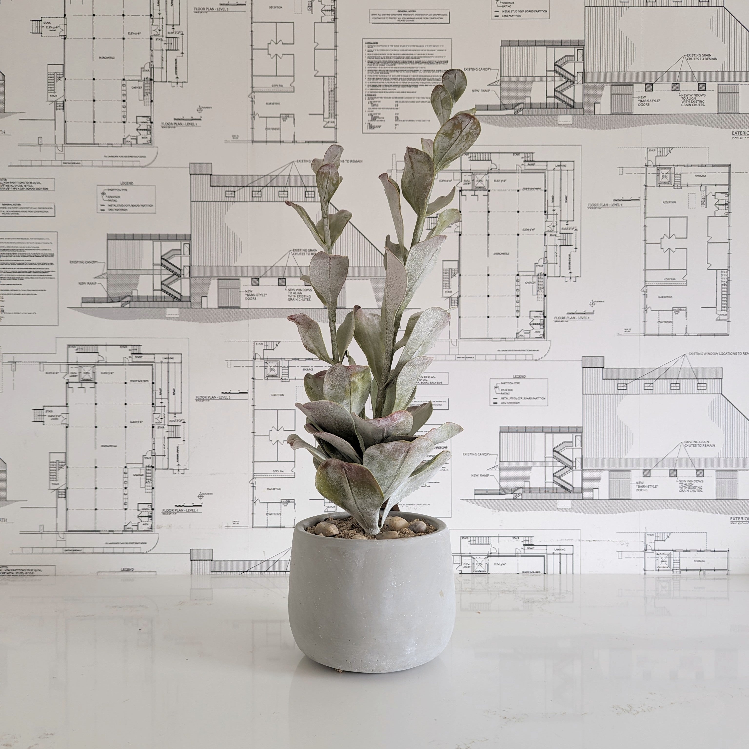 Faux White Succulent
