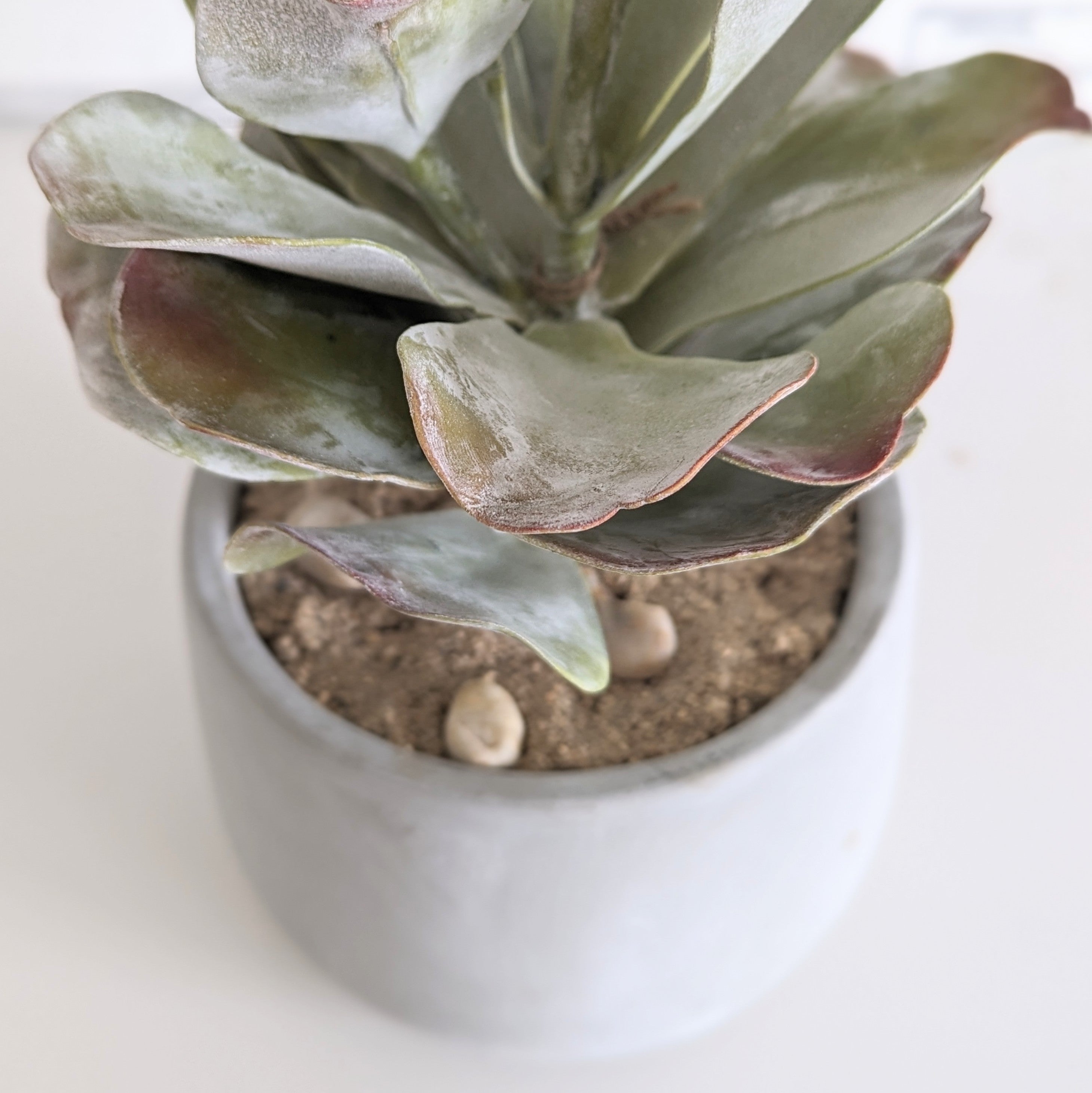Faux White Succulent