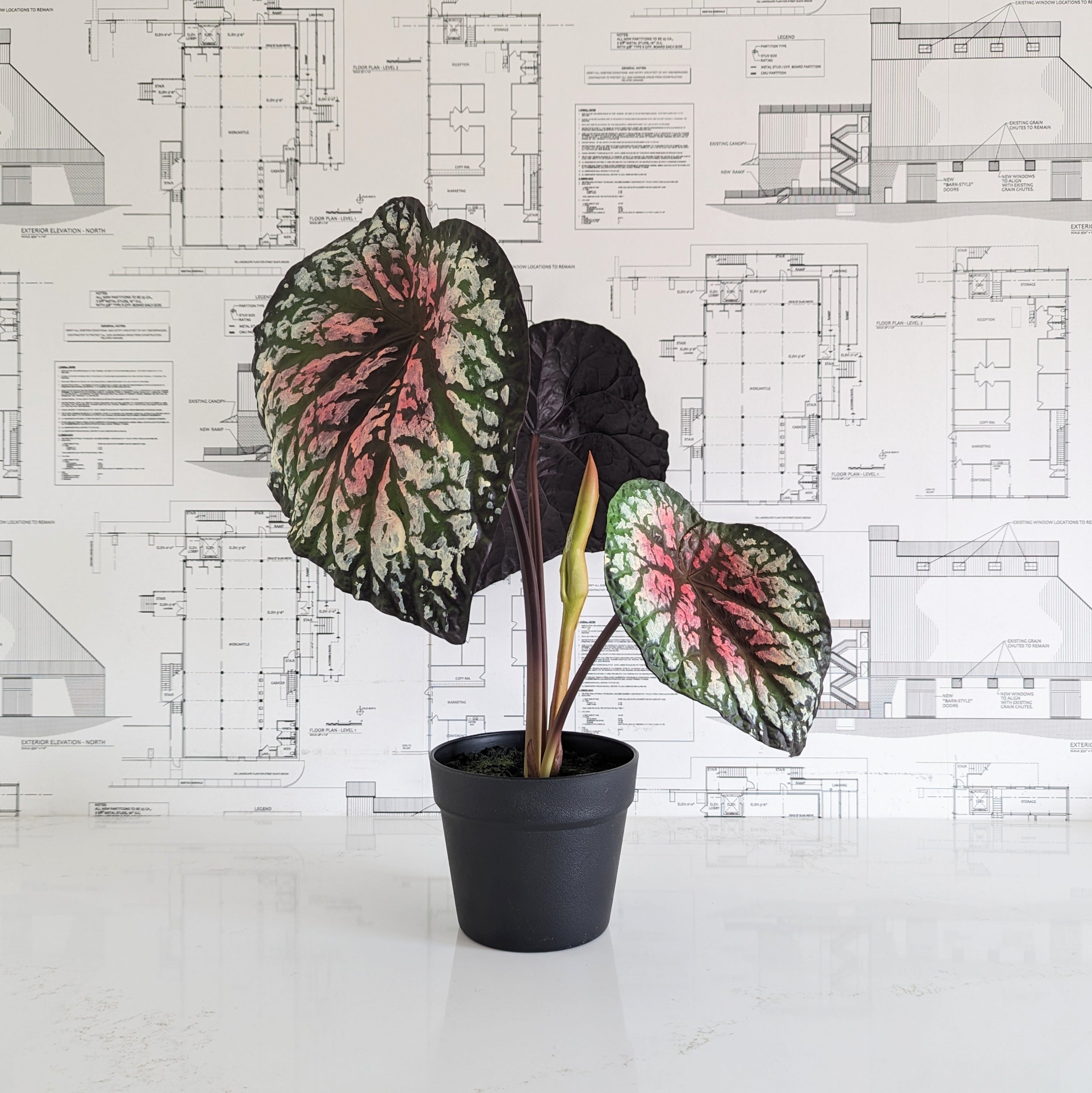 Faux Purple Begonia