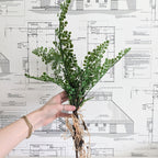 Faux Fern w/Exposed Roots