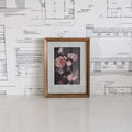 Peonies Framed Art