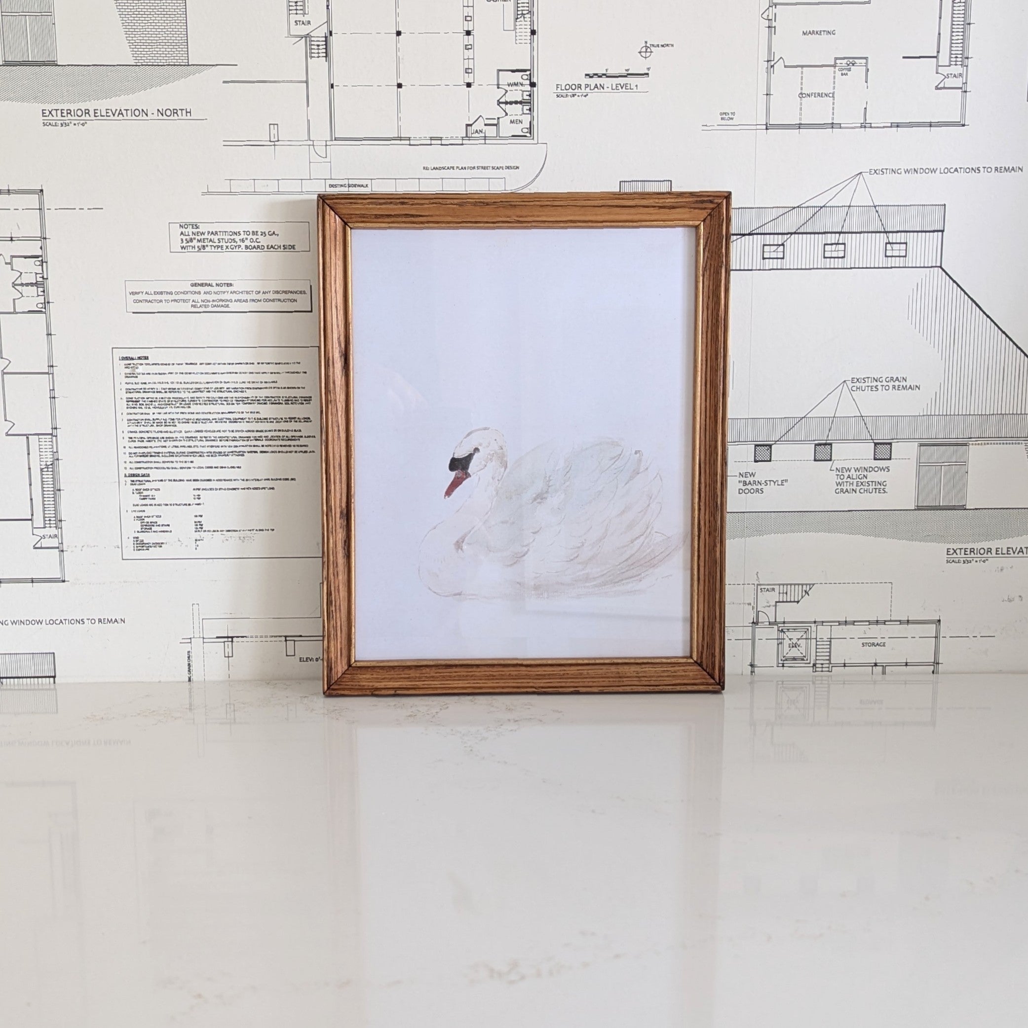 Swan Framed Art