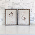 Herbarium Print in Frame