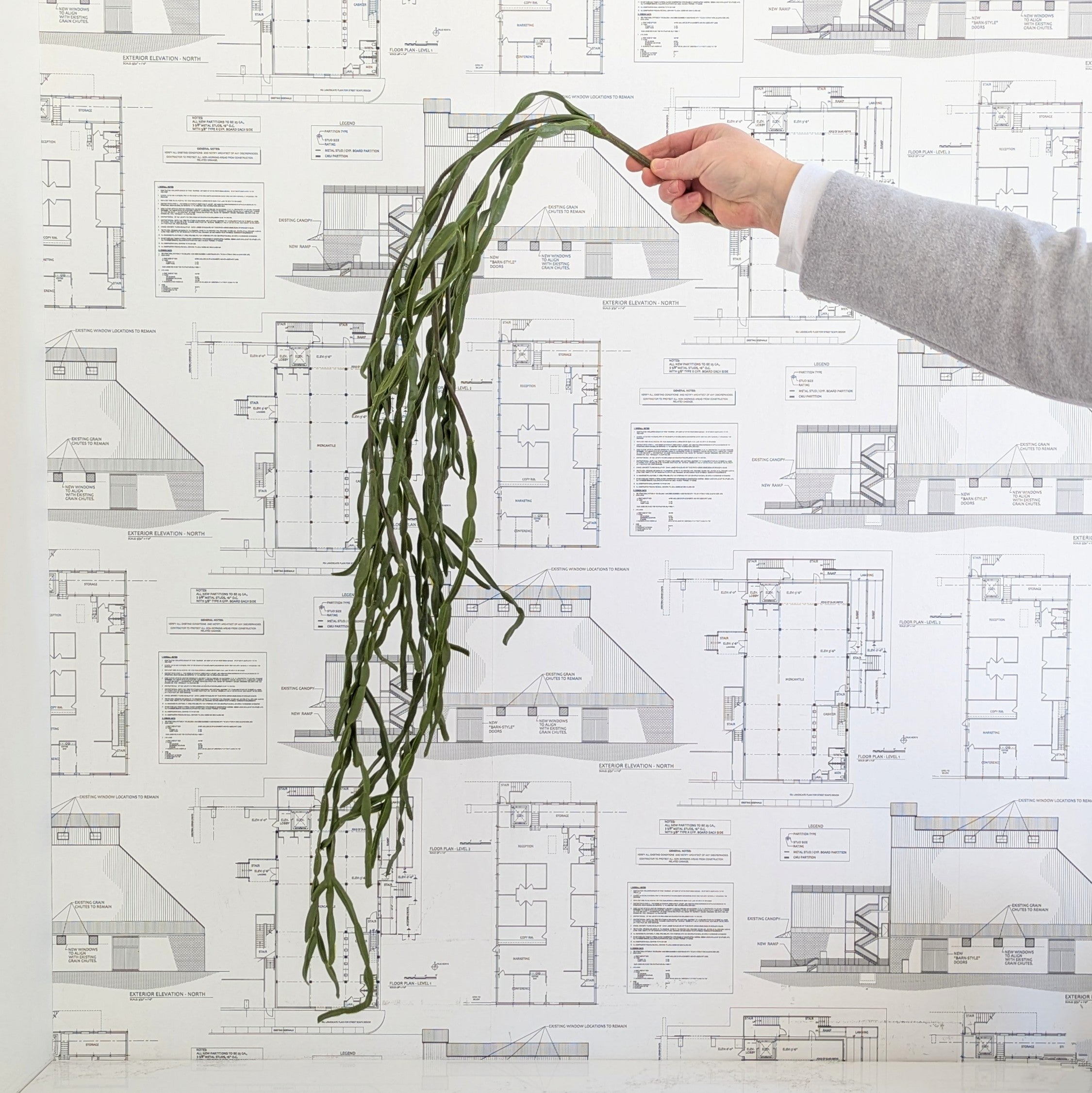 Faux Cactus Pick