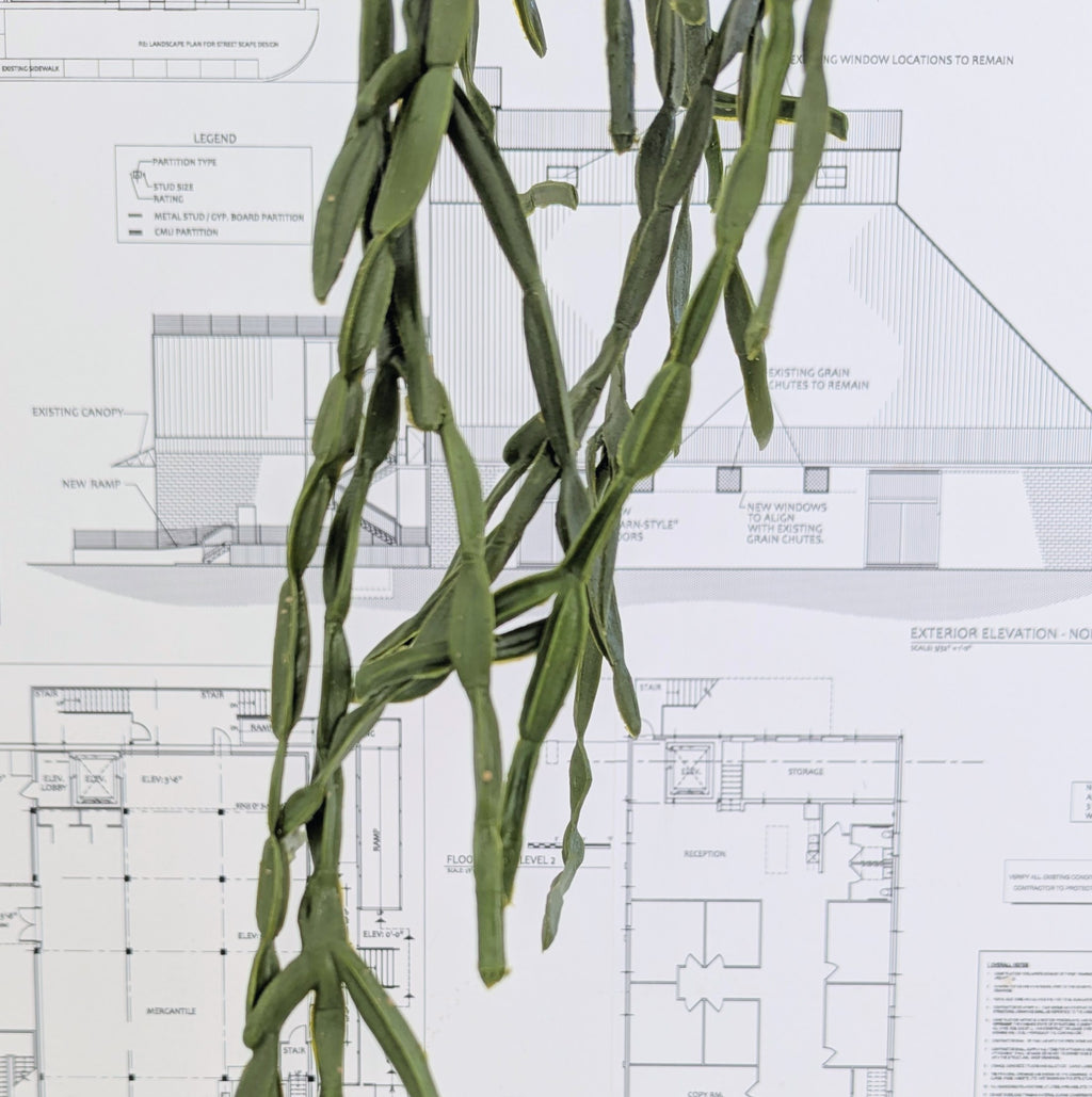 Faux Cactus Pick