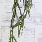 Faux Cactus Pick