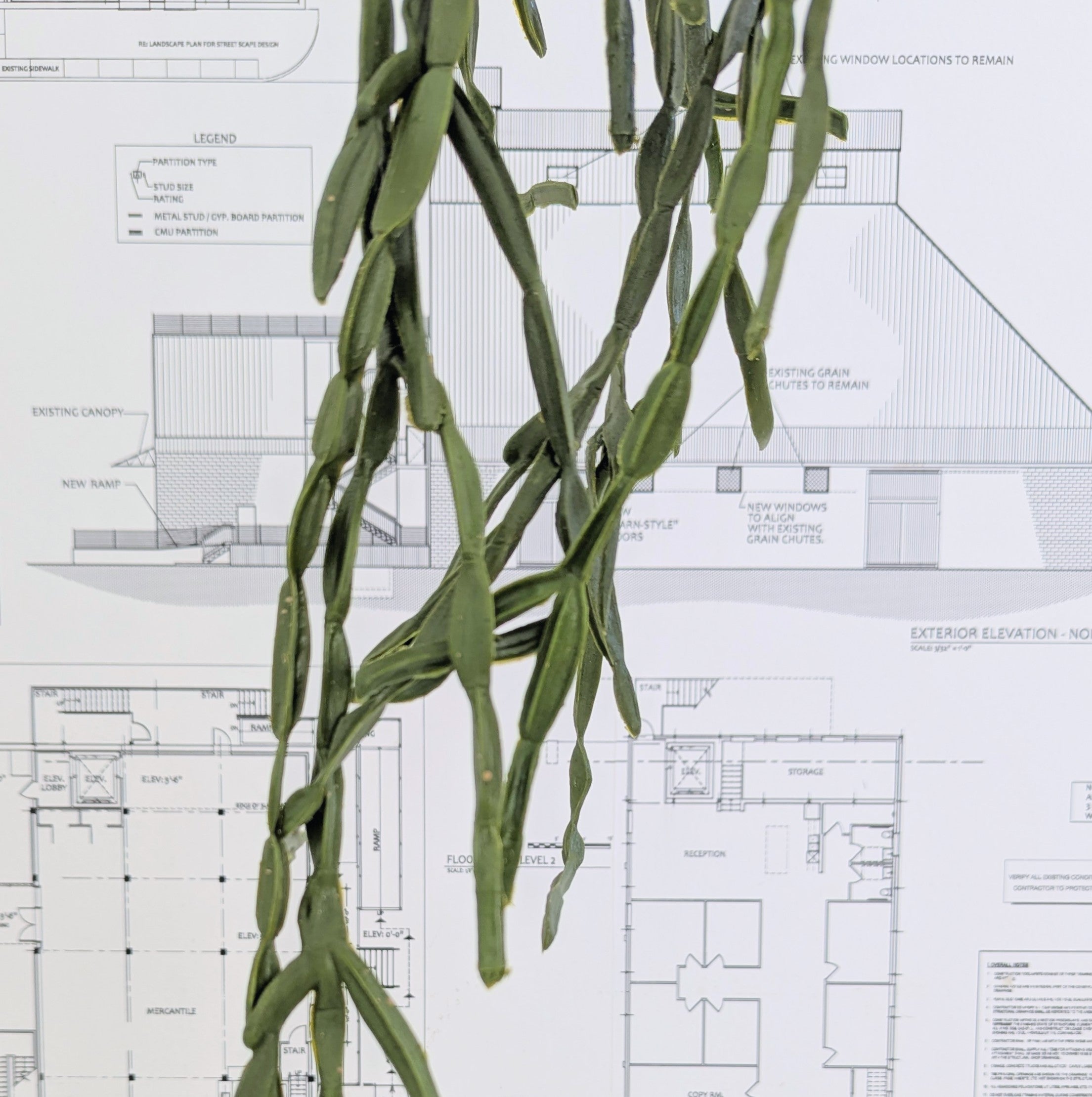 Faux Cactus Pick