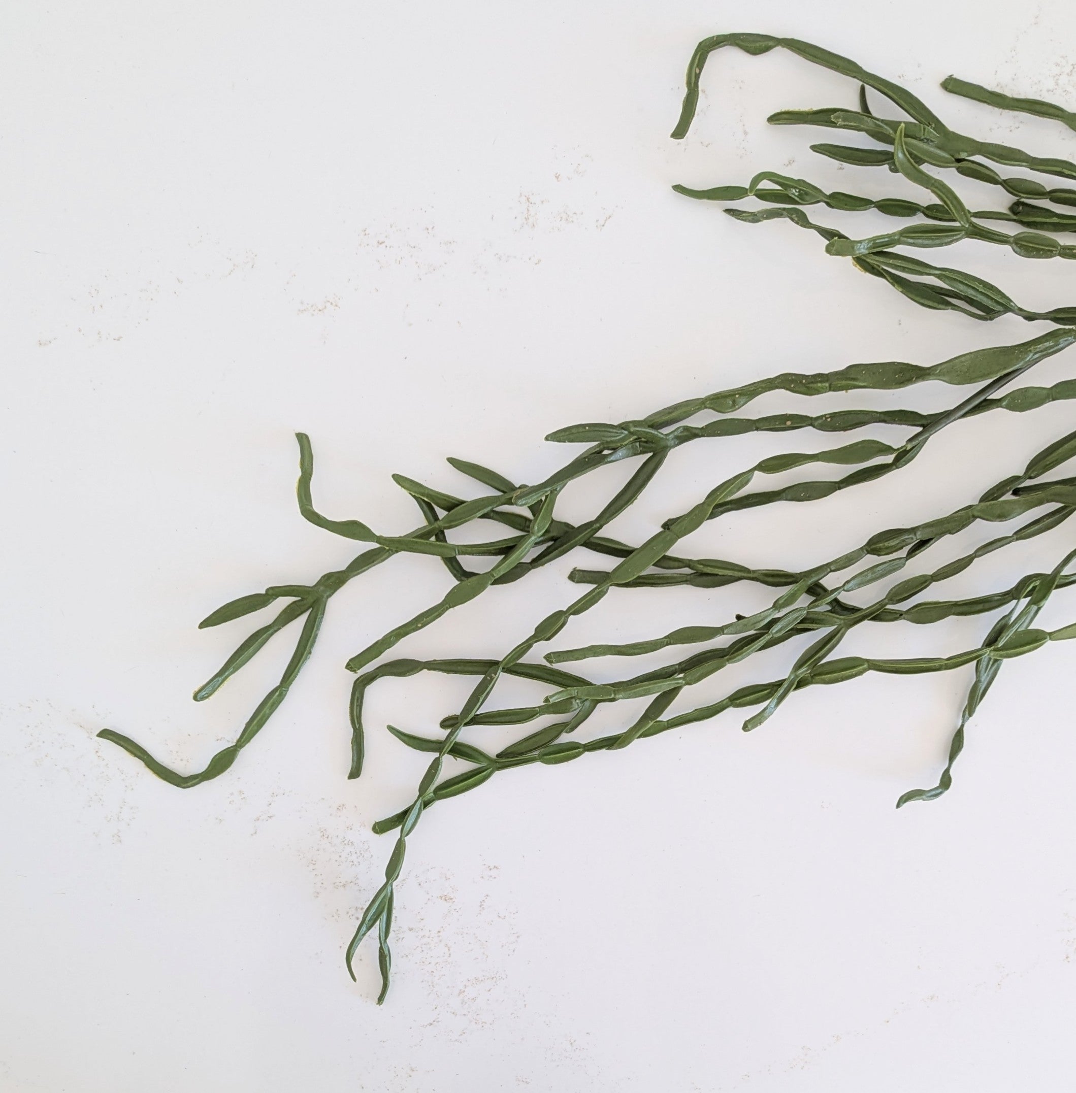 Faux Cactus Pick
