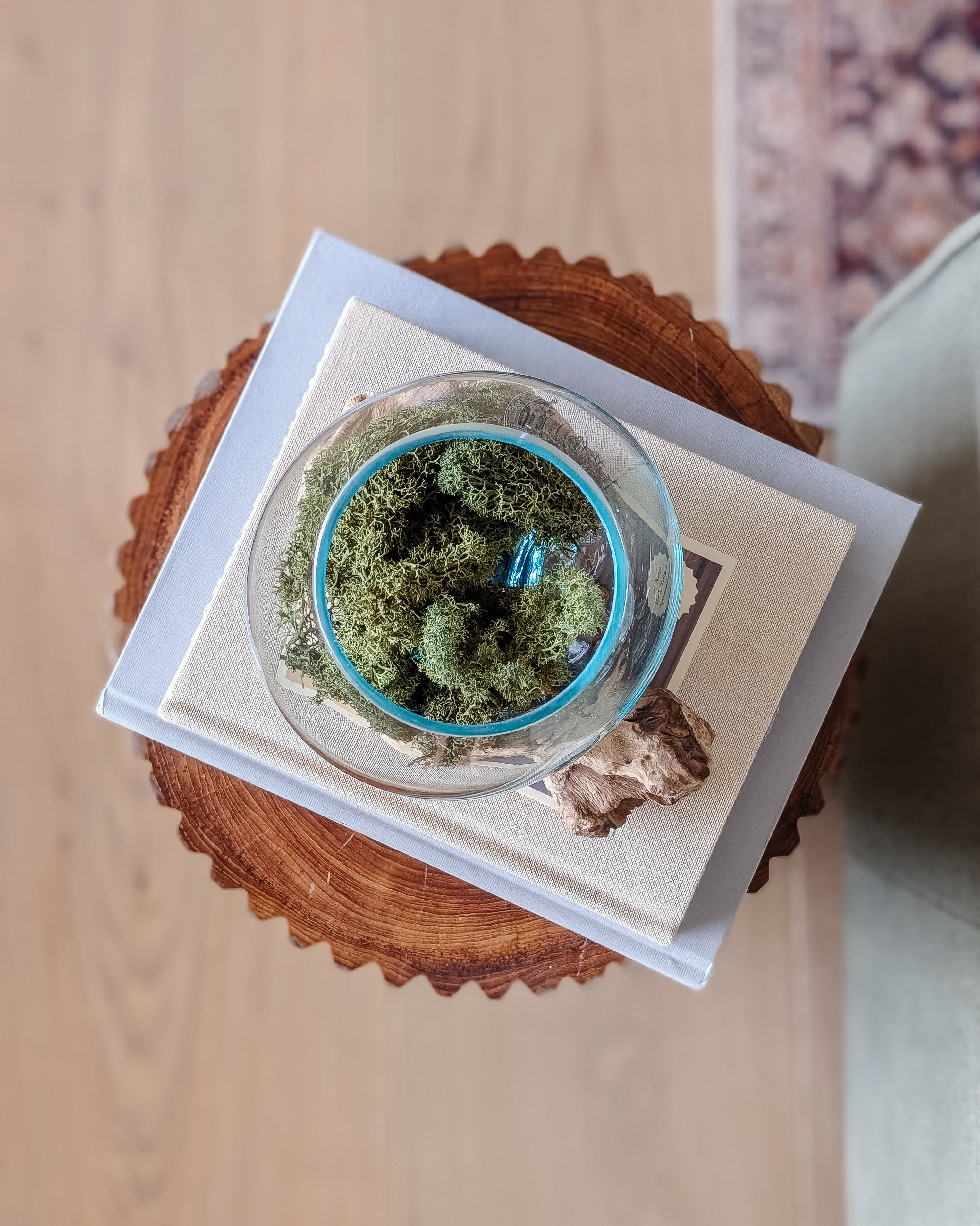 Glass Terrarium