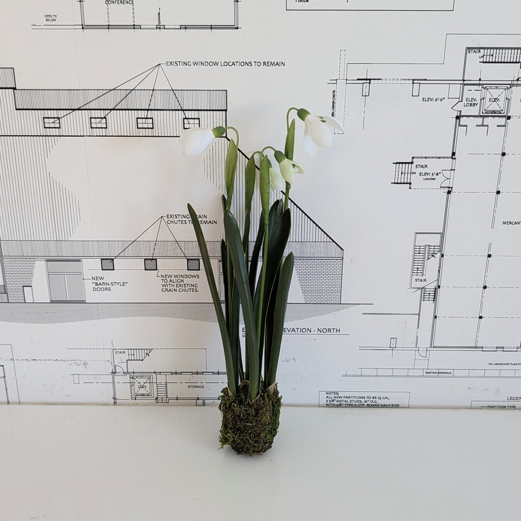 Faux Snowdrop