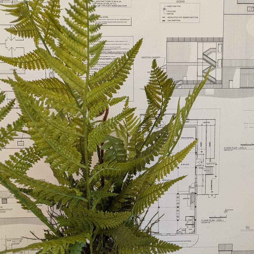 Faux Fern 20