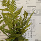 Faux Fern 20