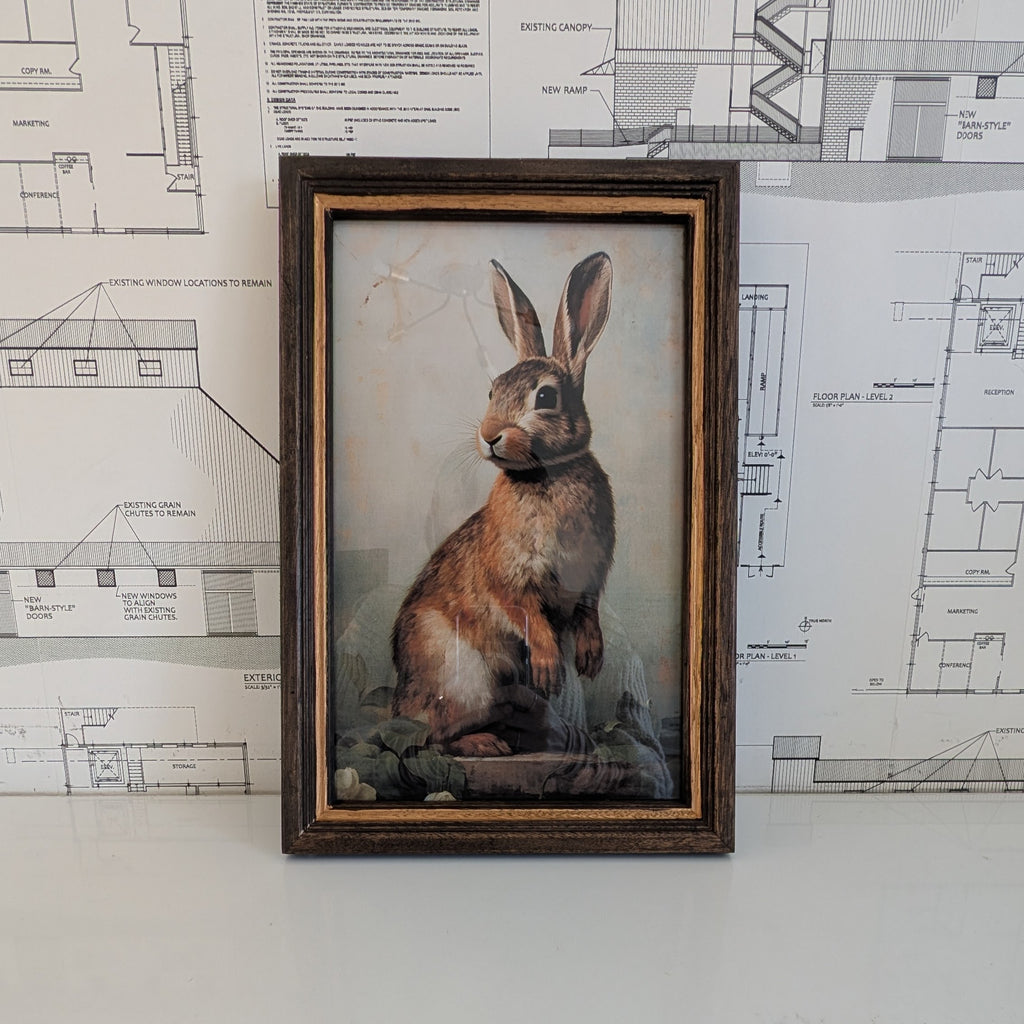 Rabbit Framed Art