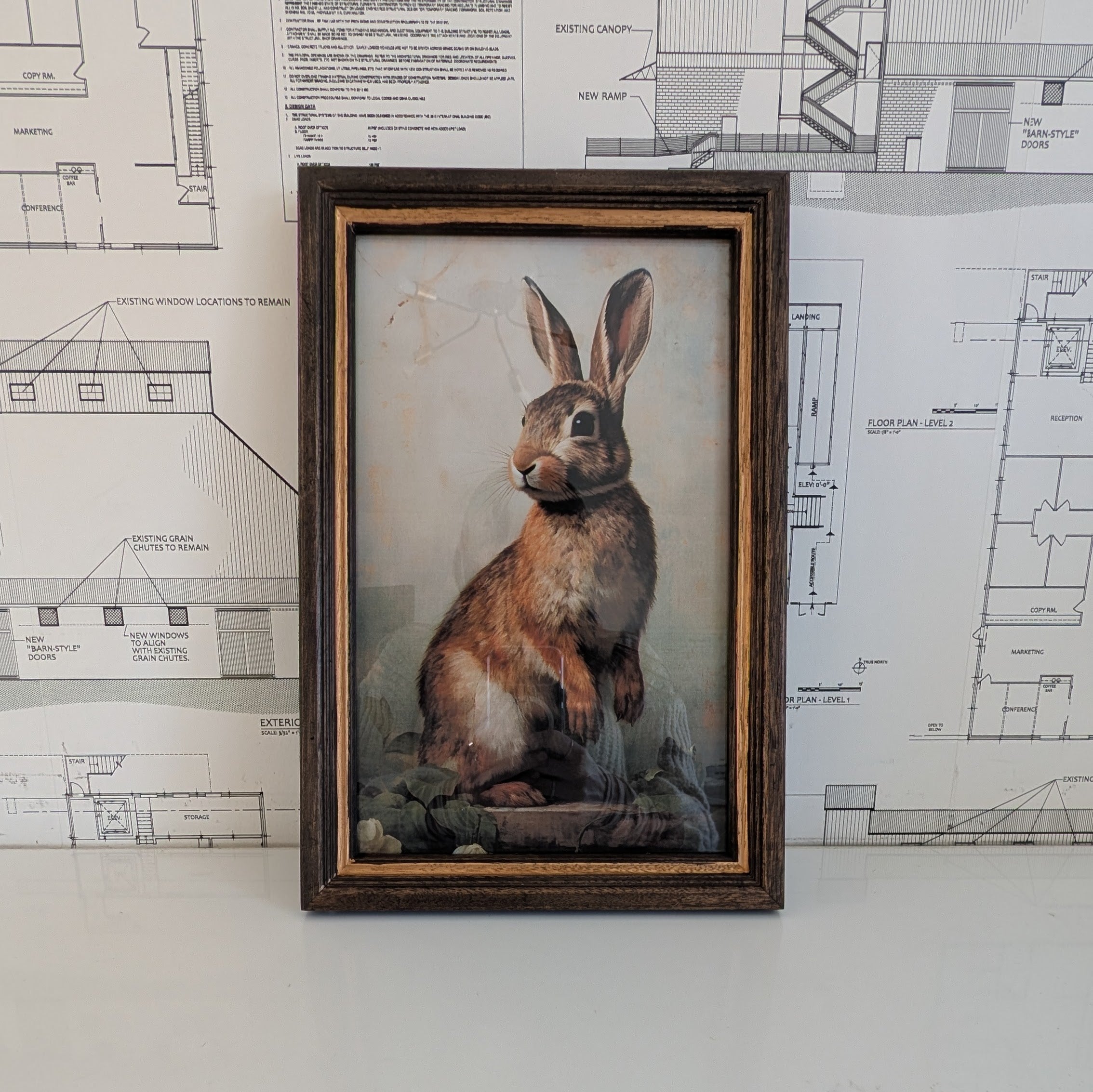 Rabbit Framed Art