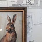 Rabbit Framed Art