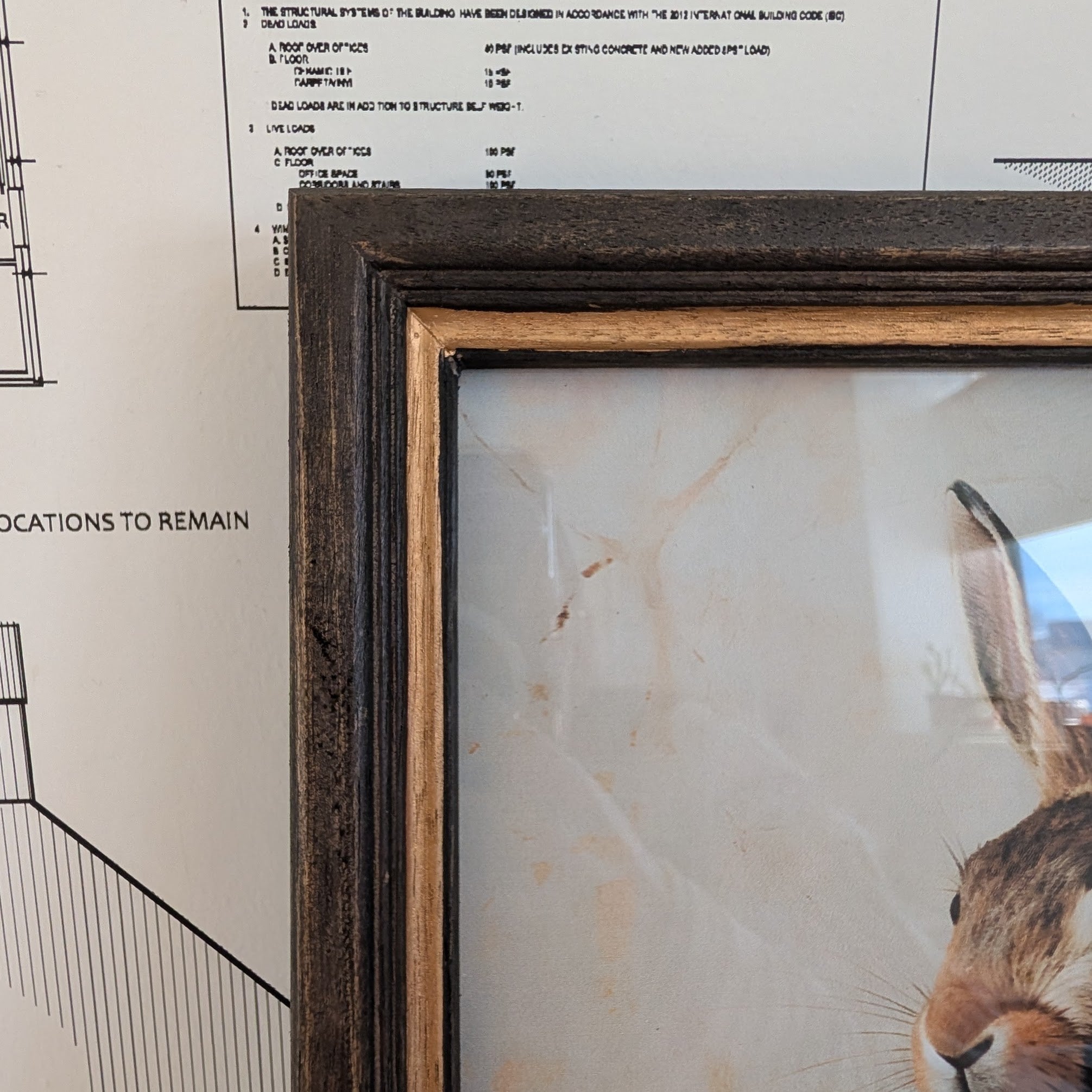Rabbit Framed Art