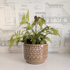 Faux Fern 20