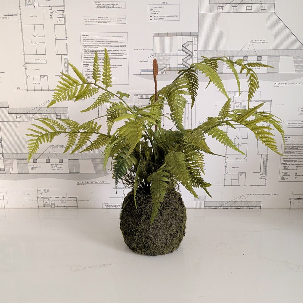 Faux Fern 20