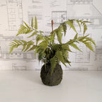 Faux Fern 20