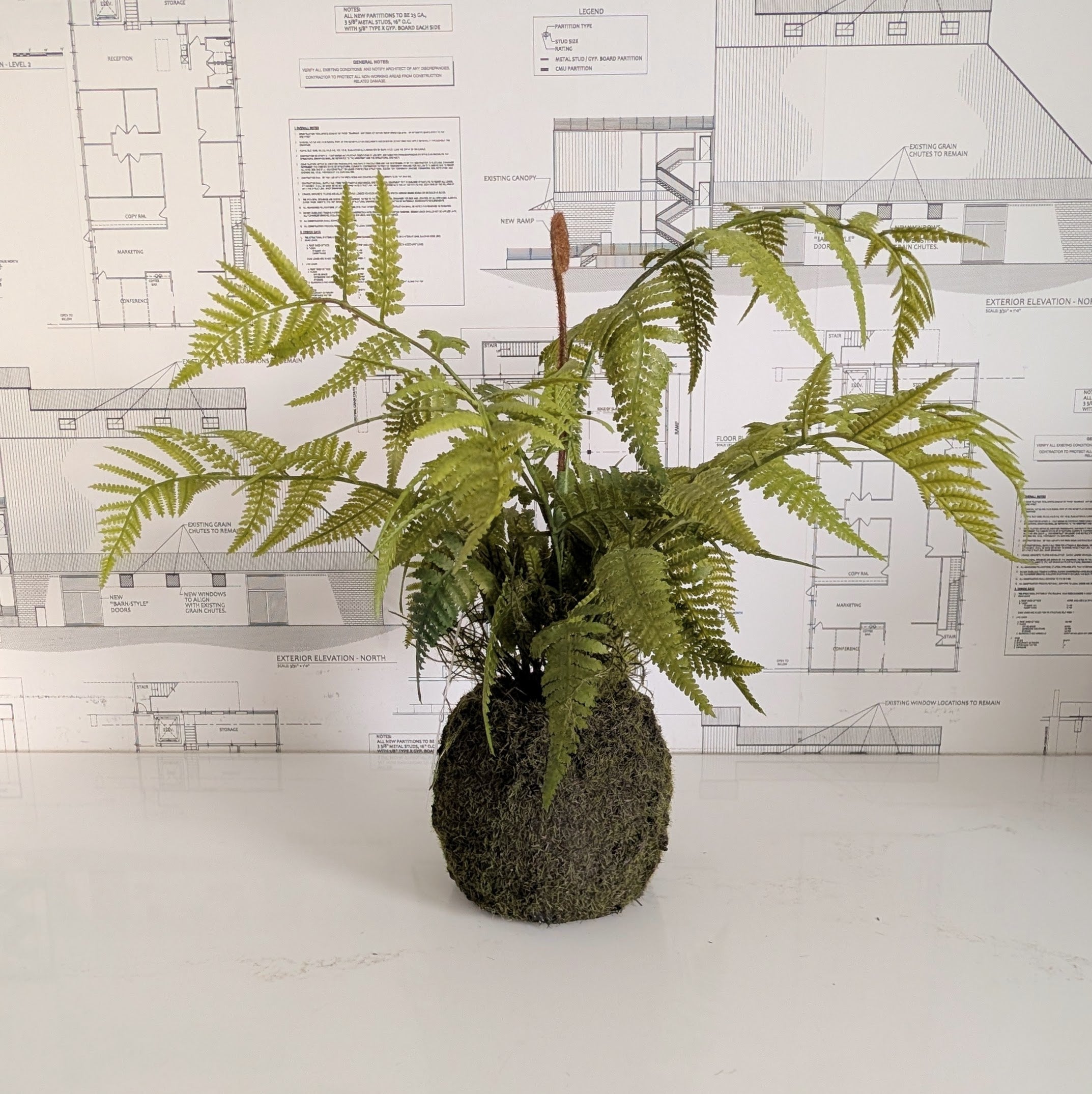 Faux Fern 20