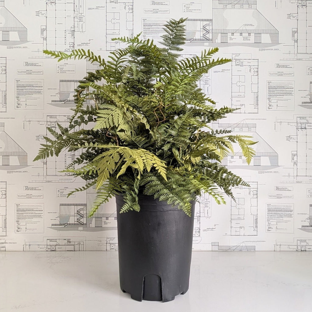 Faux Fern - 36