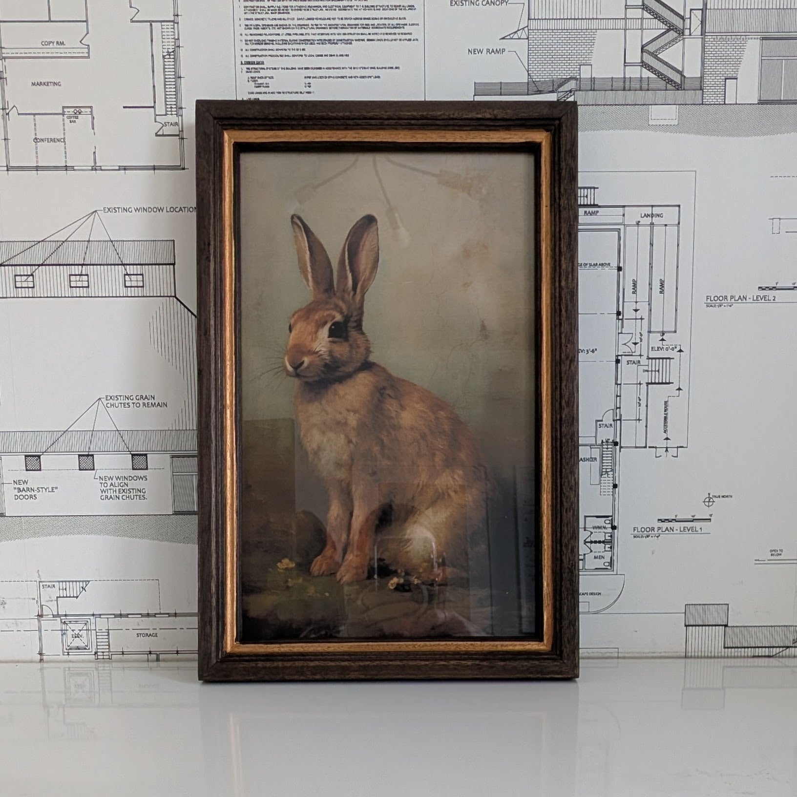 Rabbit Framed Art