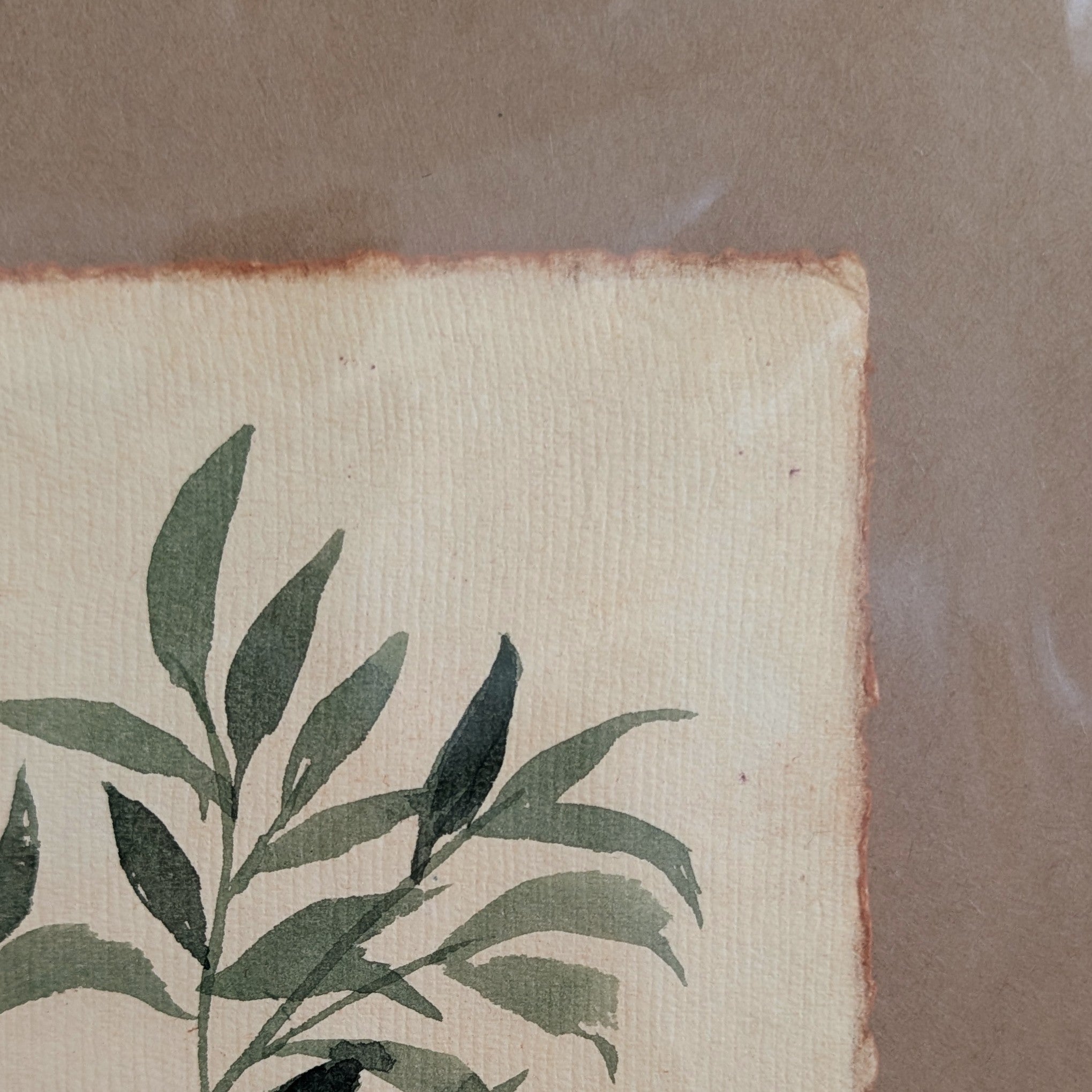 Watercolour Greenery