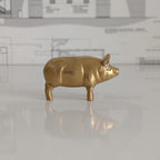 Brass Pig - Single