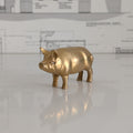Brass Pig - Single
