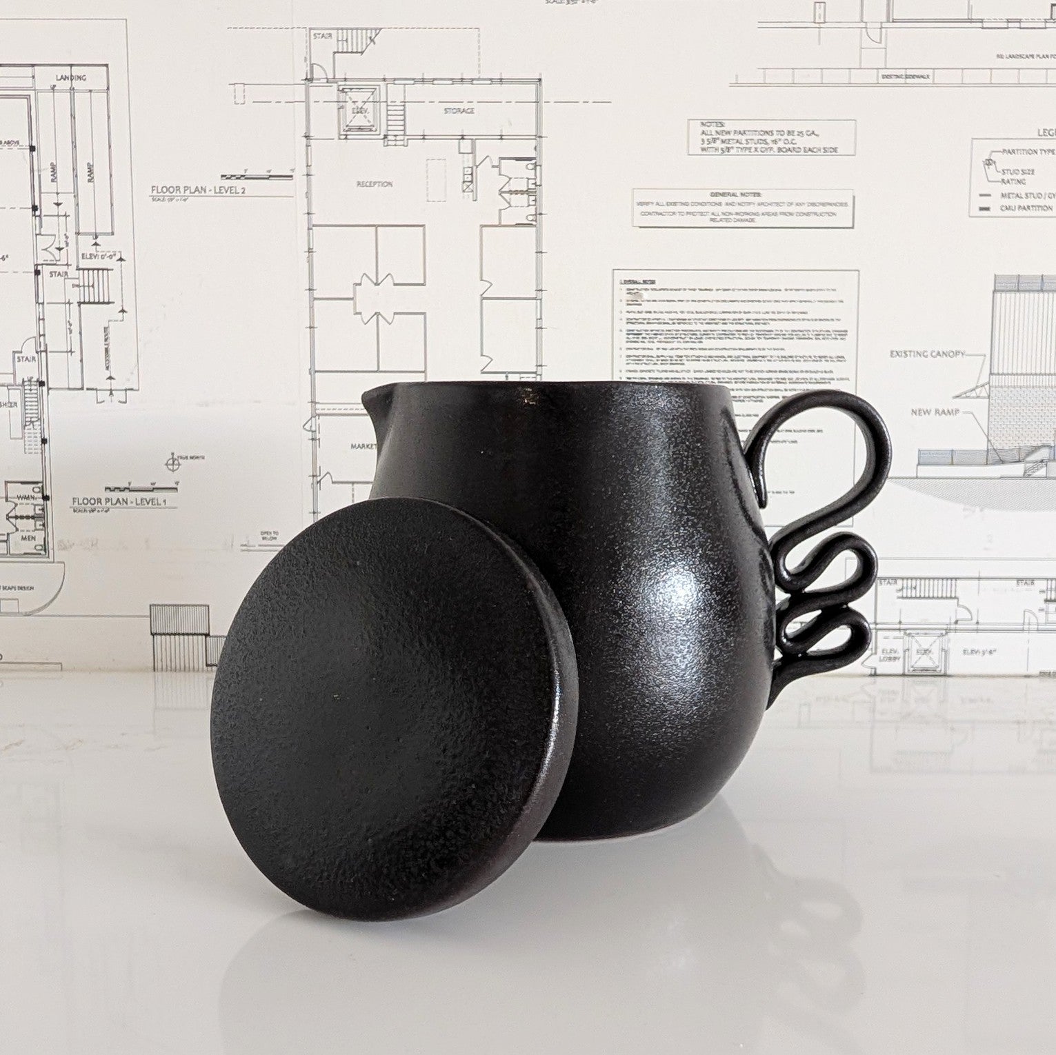 Black Pitcher