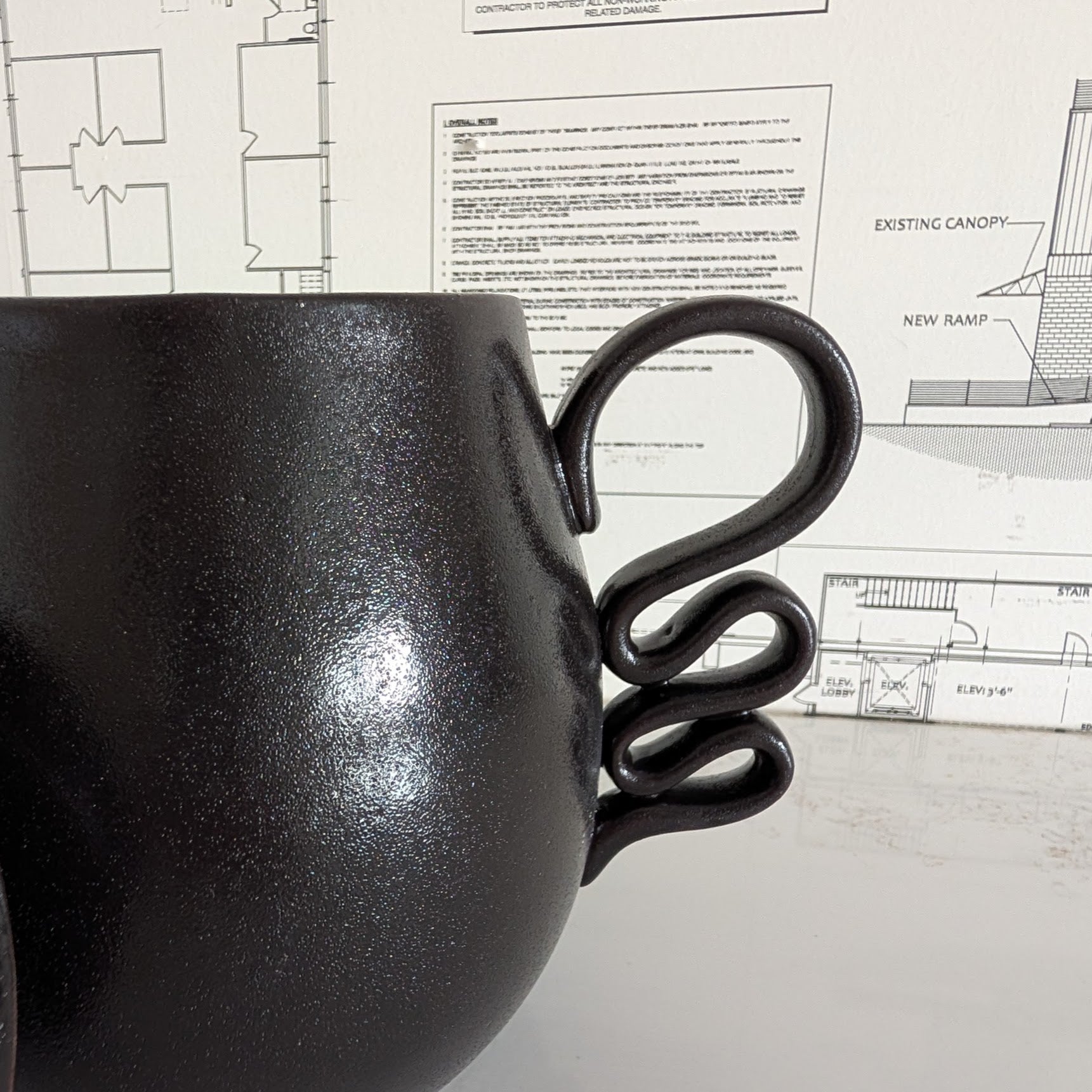 Black Pitcher