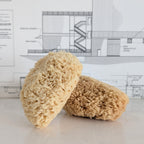 Shower Sponge