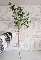Faux Ficus Branch