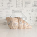 Terracotta Shell Planter