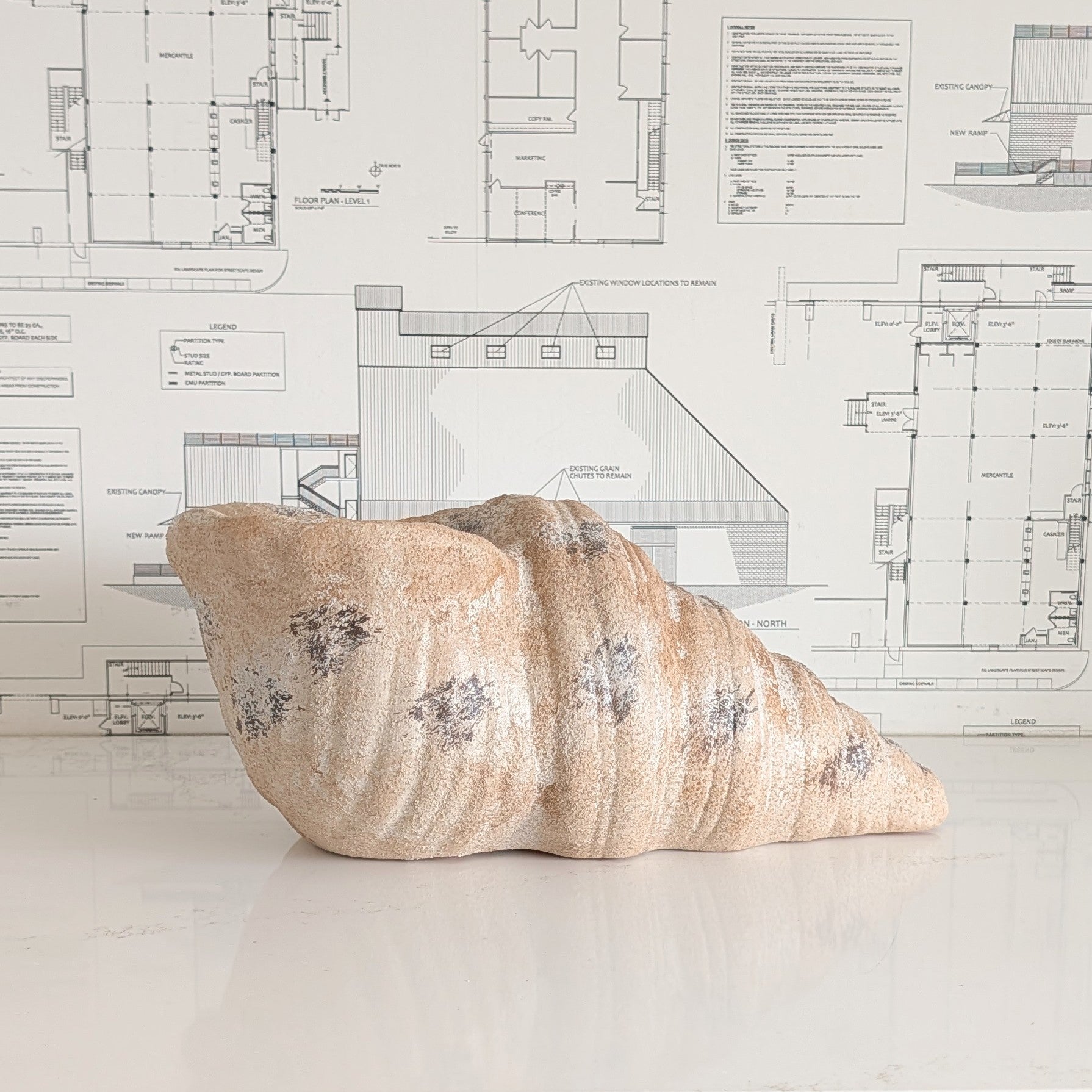 Terracotta Shell Planter
