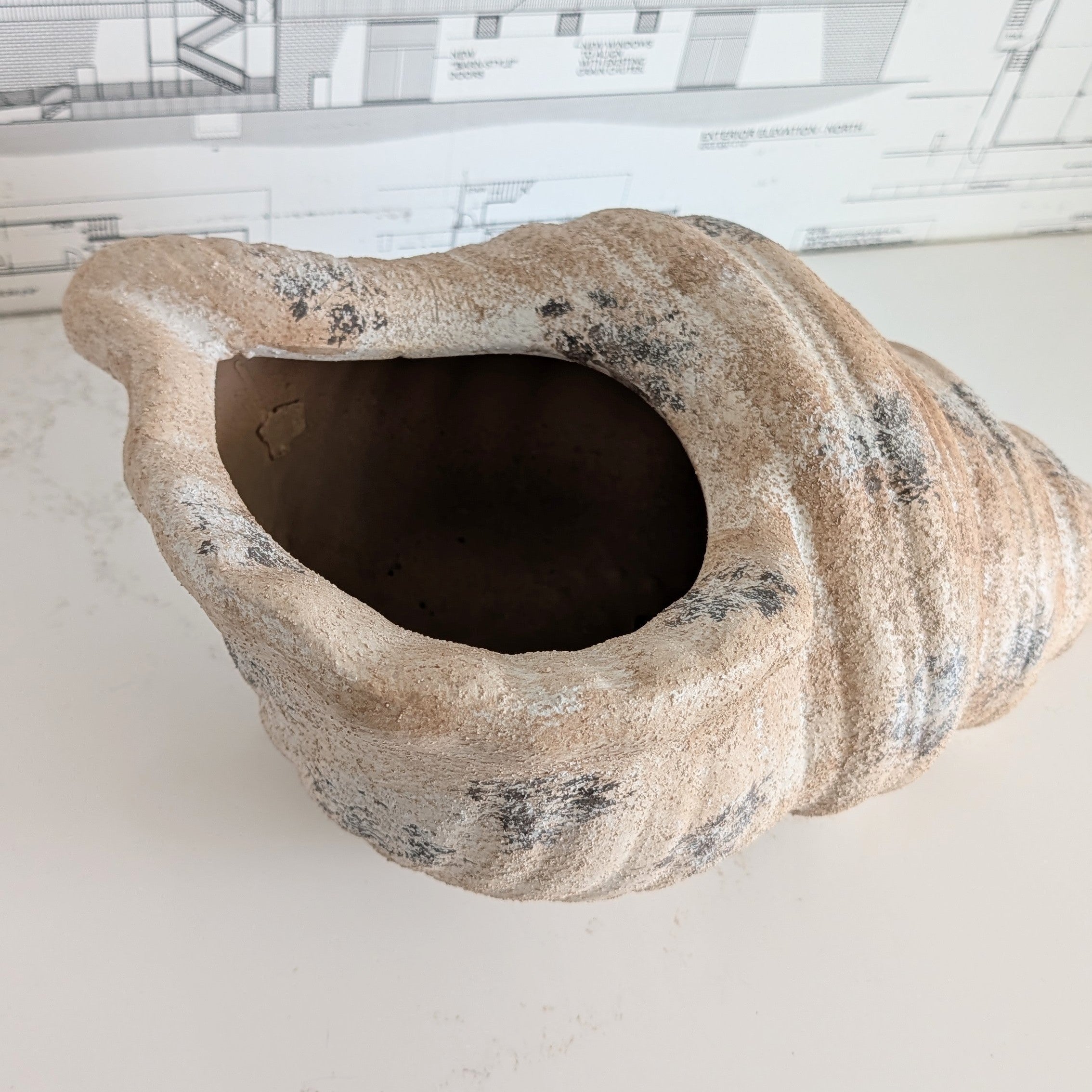 Terracotta Shell Planter