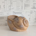 Terracotta Snail Planter