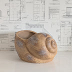 Terracotta Snail Planter