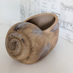 Terracotta Snail Planter