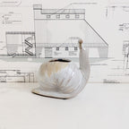 Snail Planter/Vase