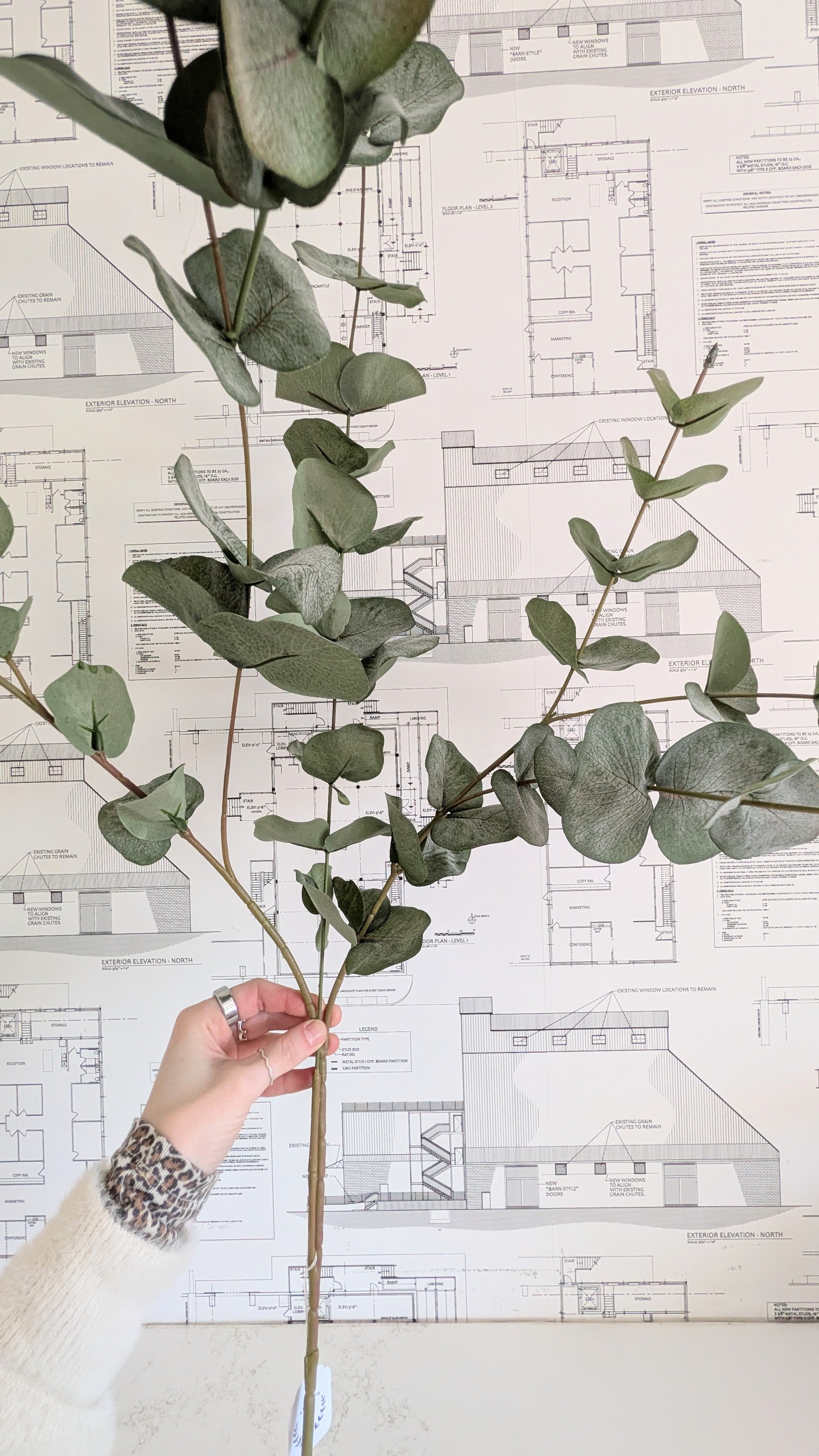 Faux Eucalyptus Branch