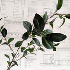 Faux Dark Greenery Stem